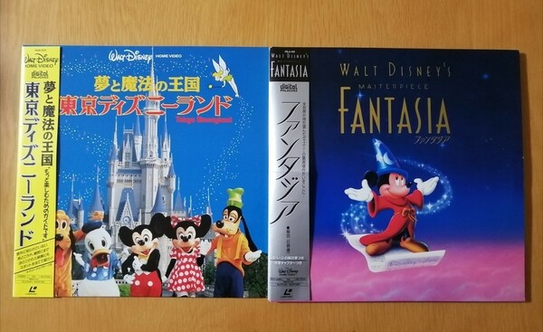 夢と魔法の王国 東京ディズニーランドファンタジア☆レーザーディスク☆2枚セット