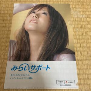 Ai otsuka clear file a4 size / not для продажи, Nippon Life ②