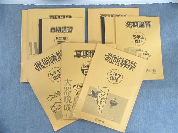 76%OFF!】 浜学園 国語 小6 Vクラス テキスト 確認テスト 日曜錬成