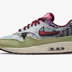 NIKE AIR MAX 1 コンセプツ ナイキ エアマックス メロウ 27.0cm Concepts Mellow SNKRS