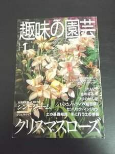 特3 80406 / NHK趣味の園芸 2001年1月号 人気の植物を育てよう イチゴ/マグノリア/デンドロビューム/サルビア/ラベンダー