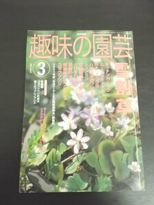 特3 80408 / NHK 趣味の園芸 2002年3月号 岩渕公一:雪割草の楽しみ方 藤田智:子どもと育てる ホームメイドポテト 長岡求:ラナンキュラス