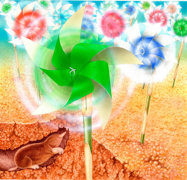水彩画 生物細密画「モグラよけの風車」 真作