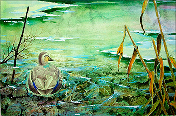水彩画 生物細密画「薄氷の朝の鴨池」 真作