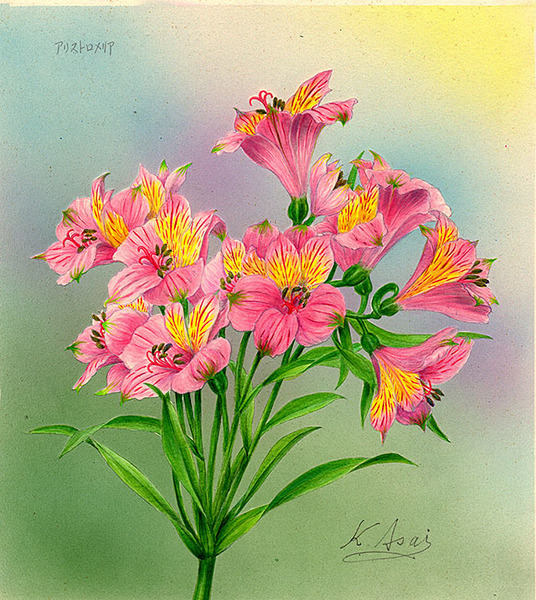 水彩画 植物細密画「アルストロメリア」 真作