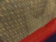 きもの今昔３４８１　ウールのきもの　染めウール　バチ衿単衣仕立て　ゴマ粒大の虫食い有り_画像4