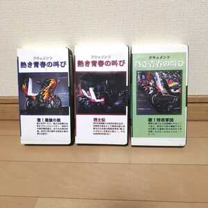 ドキュメント 熱き青春の叫び 暴走族 旧車　当時物 VHS ビデオ　３本セット