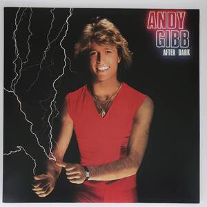 良盤屋 P-2718◆LP◆US 輸入盤 Rock, Pop 　アンディ・ギブ　 Andy Gibb ／ After Dark 1980　 まとめて送料480