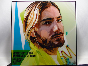 [ new goods No 293] pop art panel aresoAlesso DJ