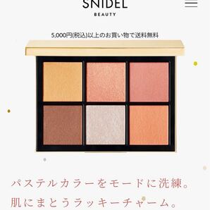スナイデルビューティ SNIDEL アイデザイナー EX01 限定