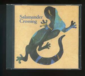 ★即決！美品　ブルーグラス　サラマンダー・クロッシング　SALAMANDER　CROSSING　THINGS　WE　SAID　TODAY（ビートルズ・カバー）収録