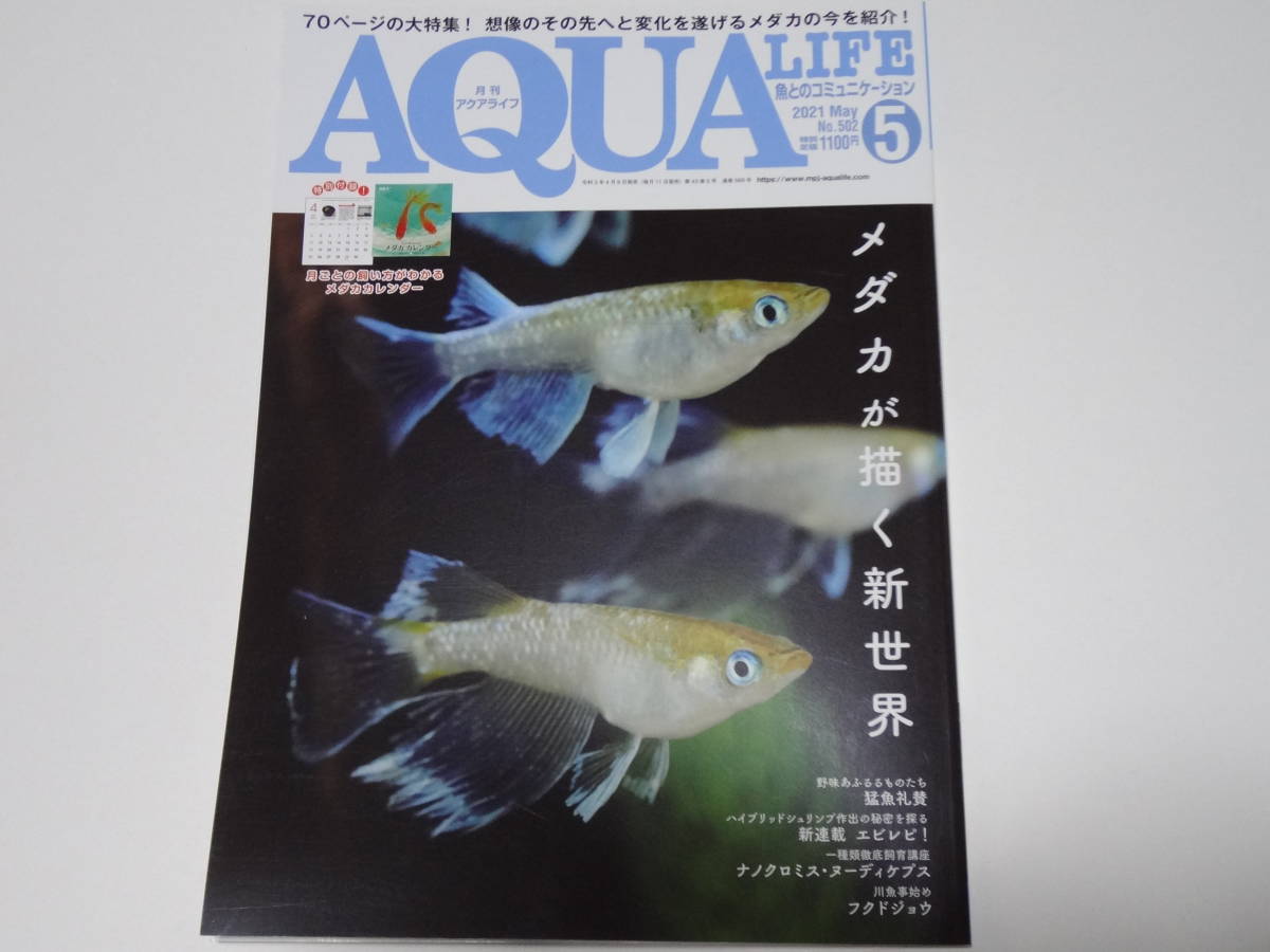15年 初版 メダカ 大図鑑 Medaka Collection めだかの館 めだか 魚 淡水魚 観賞魚 図鑑 資料 ブラック ホワイト 観賞魚 Fightmusicshow Com Br