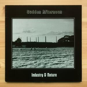 Sudden Afternoon　Industry & Nature　1985年　UK盤　12インチ　ニューウェイヴ/アンビエント　Midnight Music　DONG 16　Rob Warner
