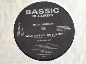 David Gordon / What Can Yot Do For Me , Destiny 12inchアナログ BASSIC RECORDS BS206 91年DARK HOUSE,GARAGE HOUSE,シュリンクあり