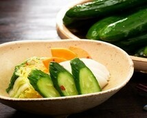 送料無料 浅漬けの素 20g きゅうり 白菜 大根 パプリカなど いろんなお野菜で 日本食研/0665ｘ６袋セット/卸_画像3