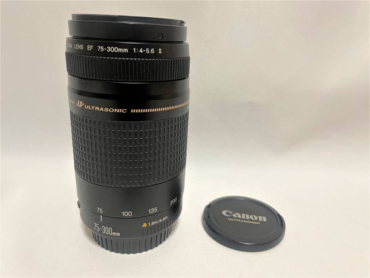 サイズ交換OK】 中古 ジャンク usm is 4-5.6 75-300mm ef Canon - レンズ(ズーム) - cronoslab.org サイズ交換OK】 中古 ジャンク usm is 4-5.6 75-300mm ef Canon - レンズ(ズーム) - cronoslab.org