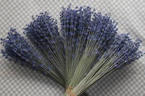 ラベンダー ドライフラワーの値段と価格推移は 105件の売買情報を集計したラベンダー ドライフラワーの価格や価値の推移データを公開 ラベンダー ドライフラワーの値段と価格推移は 105件の売買情報を集計したラベンダー ドライフラワーの価格や価値の推移データを公開