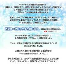 水槽の水質改善に抜群【ヴァルナミニ15センチ】有害物質を強力抑制！病原菌や感染症を防ぎ透明度が抜群に☆水槽に入れるだけ☆水替え不要に_画像7