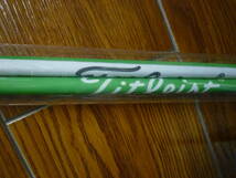 '18 VOKEY ALIGNMENT STICK SET - GREEN/WHITE _画像4