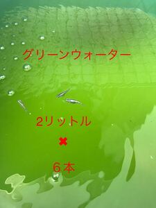 グリーンウォーター【青水】12リットル