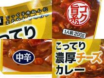 送料無料　レトルトカレー　こってり濃厚チーズカレー　中辛ｘ２０食セット　ハチ食品_画像5