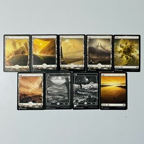 MTG 日本語 フルアート 基本土地 基本地形 製品版 コンプリート 拡張枠 人気絵柄