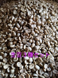 生豆3種200gx3セット コーヒー豆