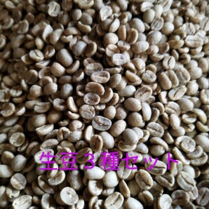 生豆３種200gx3セット　コーヒー豆