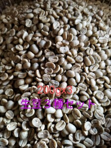 生豆３種200gx3　コーヒー豆