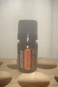 * prompt decision *doTERRAdo tera sinamon Burke essential oil *