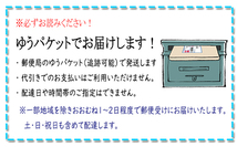 【両耳用】ひっぱらないと 外れない 落ちない ピアス キャッチ【ハッピー キャッチ】シルバー SV925 製 イエローゴールドカラー 1ペア_画像8