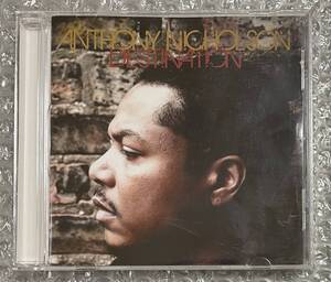 f56 Anthony Nicholson Destination レア盤 Deep House Chicago House Afro House Urban Sound Gallery Ron Ron Trent 中古品