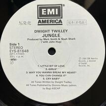 LP DWIGHT TWILLEY / JUNGLE [プロモ盤]_画像8