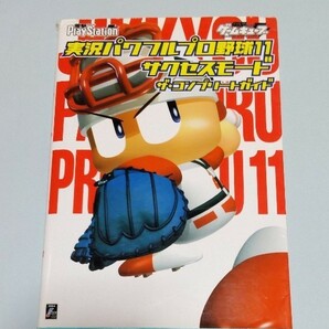 実況パワフルプロ野球11 サクセスモード ザ・コンプリートガイド ゲームキューブ プレステ