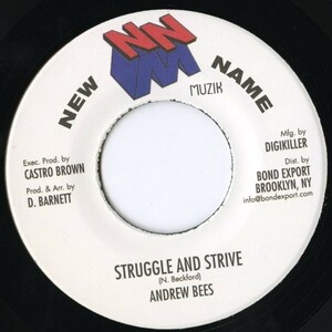 美盤！USプレス 7インチ Andrew Bees / Struggle And Strive【New Name Muzik】アンドリュー・ビーズ DANCEHALL 45RPM. ダンスホール