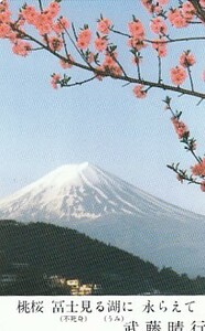 ●富士山　武藤晴行テレカ