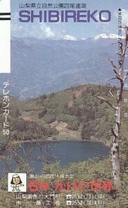 ●110-11196 山梨県自然公園四尾連湖 かいじ国体テレカ
