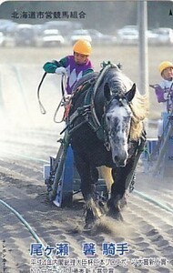 ●北海道市営競馬組合 尾ヶ瀬馨騎手テレカ