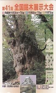 ●名古屋城 全国銘木展示大会テレカ