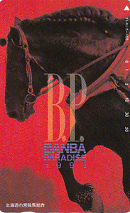 ●北海道市営競馬組合 BANBA PARADISE1991テレカ2