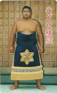 ● Takejiyama Great Sumo Teleka