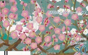 ●110-19870 中島千波 淡紅白梅テレカ