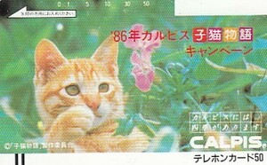 ●110-5702 子猫物語テレカ