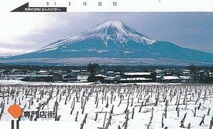 ●110-2417 富士山 ダイエー専門店街テレカ