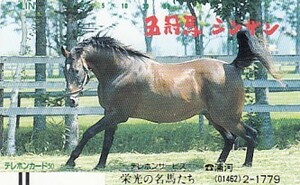 *sin The n. light. name horse .. telephone card 