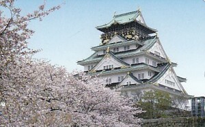 ●大阪城　桜テレカ