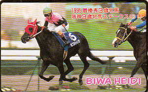 ●ビワハイジ 阪神3歳牝馬ステークステレカ2