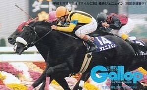 .Gallopjenyu in mile CS telephone card 