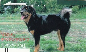 ●フリー330-2791 幻の犬使用済テレカ