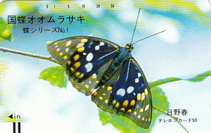 ●国蝶 オオムラサキ 日野春テレカ
